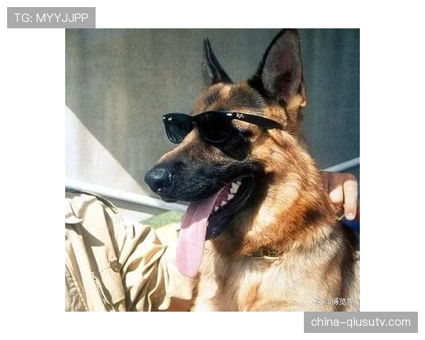 内马尔又双叒晒豪车了，这回连狗都戴金链子？